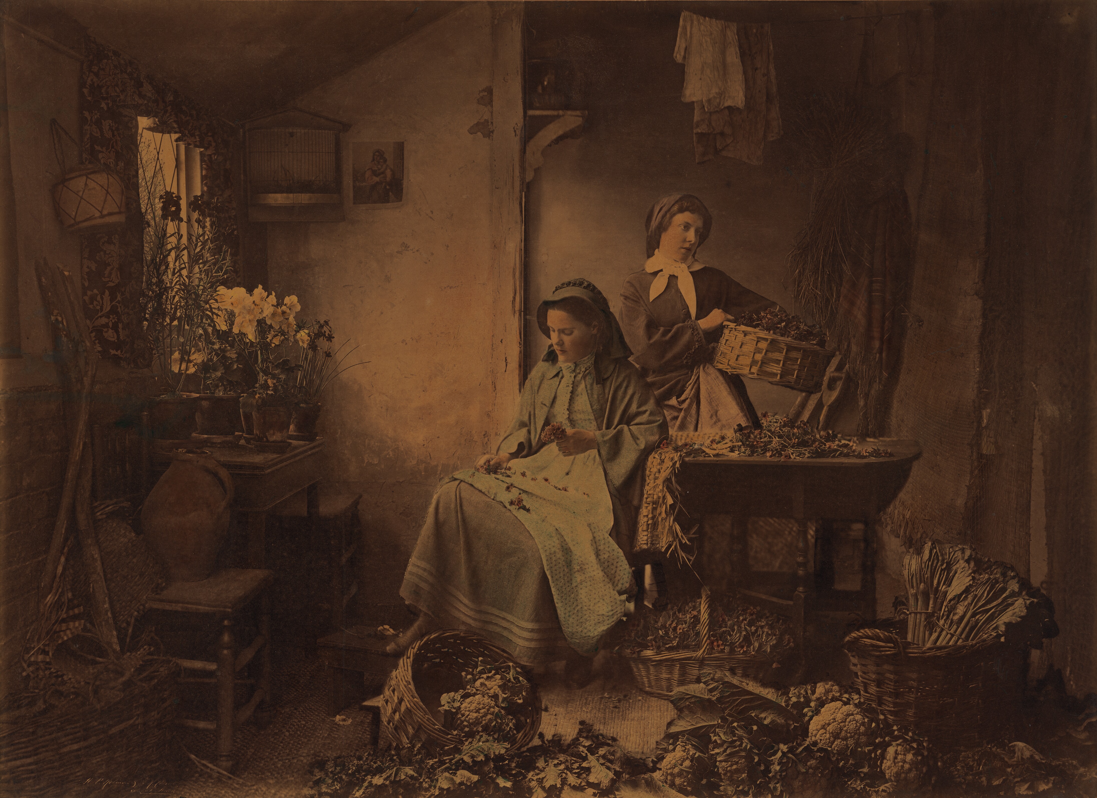 [Preparing Spring Flowers for Market] (86.XM.603)