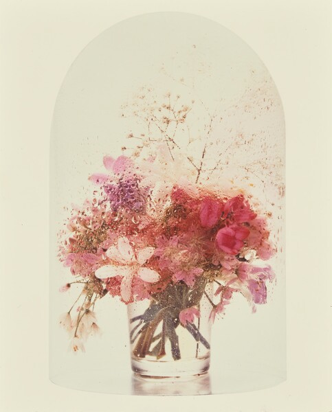 [Flowers in a bell jar] (84.XP.463.19)