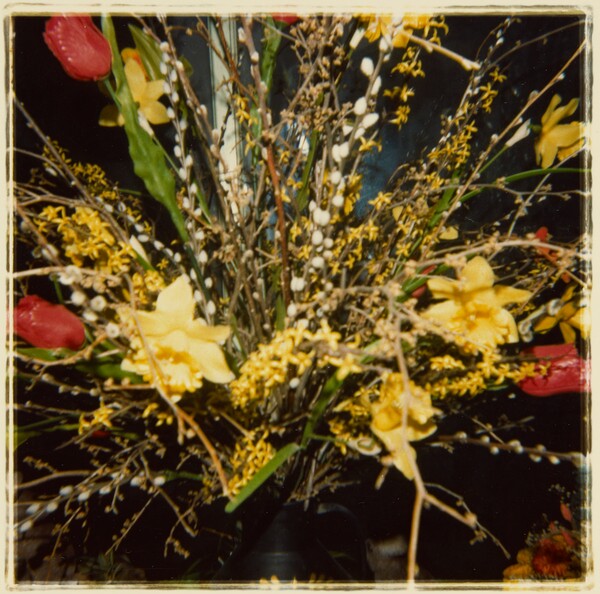 [Bouquet of flowers] (84.XP.674.19)